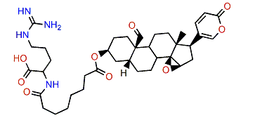 3-(N-Suberoyl argininyl)-resibufagin